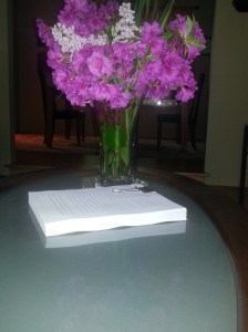 An early version of my 1st novel circa 2014