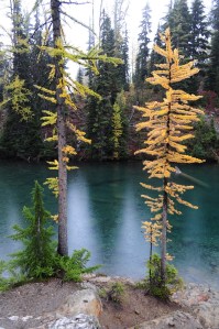 photo by Lainey Piland